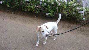 朝のお時間 2019/4/23