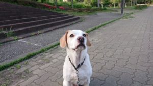 夜のお時間 2019/4/23