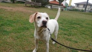 朝のお時間 2019/4/24