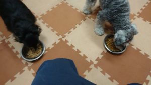 GW始まり 2019/4/28