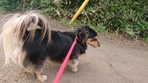 とりあえず様子をみよう 2019/4/29