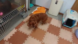 お昼のお時間 2019/4/29