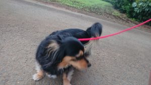 夜のお時間 2019/4/29