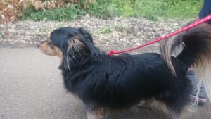 夜のお時間 2019/4/30