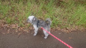 朝のお時間 2019/5/2