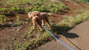 夜のお時間 2019/5/2