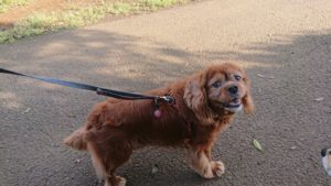 朝のお時間 2019/5/3