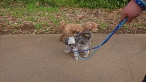 夜のお時間 2019/5/3