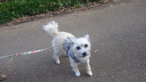 朝のお時間 2019/5/4