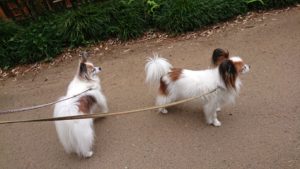 夜のお時間 2019/5/4