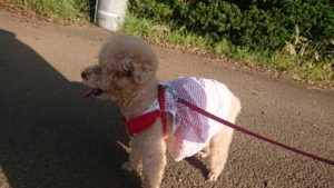 夜のお時間 2019/5/5