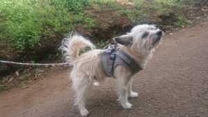 朝のお時間 2019/5/6