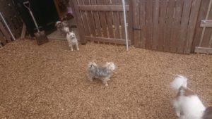 昼のお時間 2019/5/6