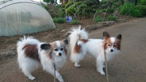 夜のお時間 2019/5/6