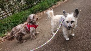 朝のお時間 2019/5/7