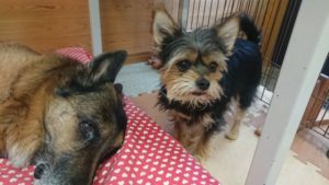 昼のお時間 2019/5/7