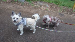 夜のお時間 2019/5/7