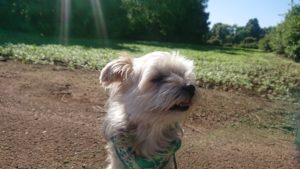 朝のお時間 2019/5/8