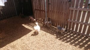 お昼のお時間 2019/5/8