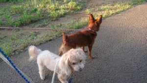 夜のお時間 2019/5/8