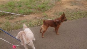 朝のお時間 2019/5/9