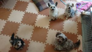 お昼のお時間 2019/5/9