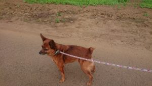 夜のお時間 2019/5/9