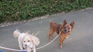 朝のお時間 2019/5/10