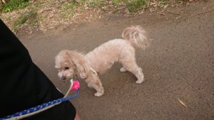 夜のお時間 2019/5/10