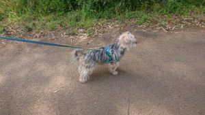 朝のお時間 2019/5/11