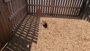 昼のお時間 2019/5/11