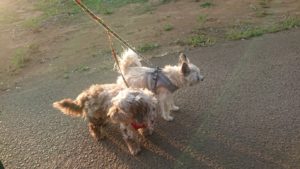 夜のお時間 2019/5/11