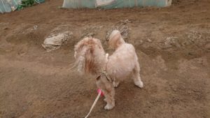 朝のお時間 2019/5/12