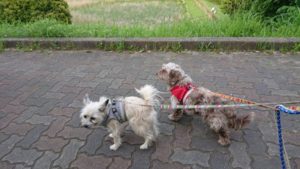 夜のお時間 2019/5/12