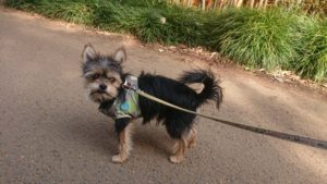 朝のお時間 2019/5/13