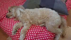 お昼の時間 2019/5/13