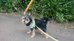 朝のお時間 2019/5/14