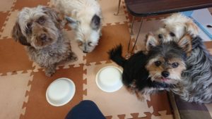 お昼のお時間 2019/5/14