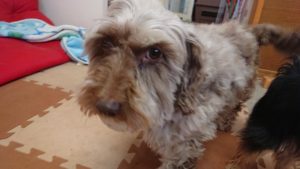 お昼のお時間  2019/5/15