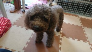 お昼のお時間 2019/5/16