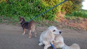 夜のお時間 2019/5/16