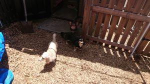 昼のお時間 2019/5/17