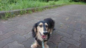 夜は静かです 2019/5/17