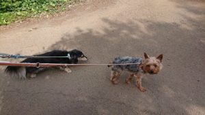 朝のお時間 2019/5/18