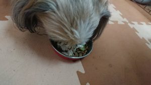 お昼のお時間 2019/5/18