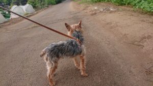 夜のお時間 2019/5/18