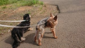 朝のお時間 2019/5/19