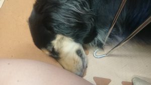 お昼のお時間 2019/5/19