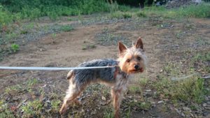 夜のお時間 2019/5/19