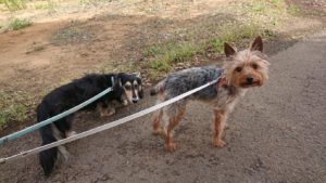 朝のお時間 2019/5/20